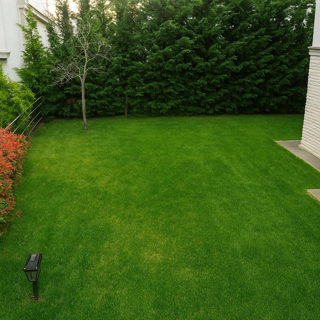 Nora Marmara Luxury Villas In Istanbul Buyukcekmece Exterior photo